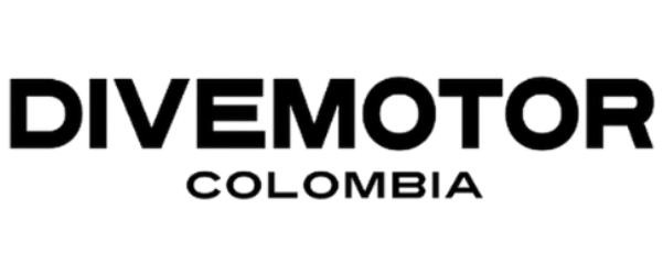Logo Dive Motors Colombia